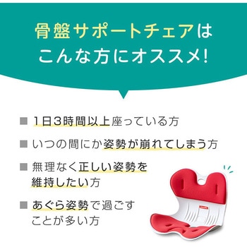 骨盤サポートチェア ドリームウェア
