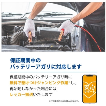 標準車(充電制御車用)バッテリー caos(カオス) C8シリーズ 安心サポートセット Panasonic(パナソニック)