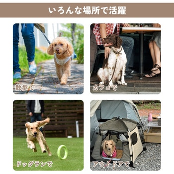 ウンチ処理袋 ペット用 散歩 お手軽 グリーンポイ太くん 200枚入 PHOENIX EINZEL