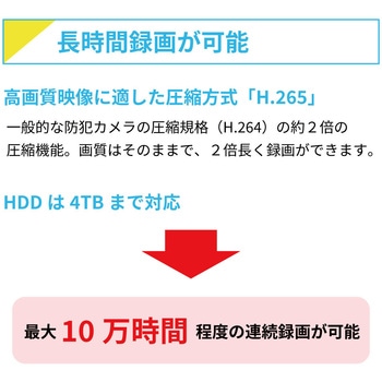 ワイヤレス300万画素(1台)カメラ・12.5インチモニター録画機(HDD1TB付)一体型防犯セット ブロードウォッチ