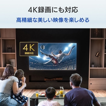 テレビ録画&パソコン両対応 外付けハードディスク I ・O DATA(アイ・オー・データ)
