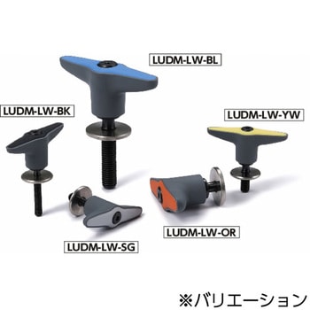 LUDM-78-10-20-LW30-YW vNvo[ gݍ݃^Cv(˂) LUDM]LW NBK(牮oCebN) 15035364