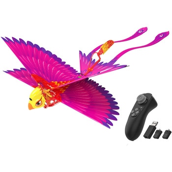 Go Go Bird ゴーゴーバード avail(アベル)