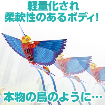 Go Go Bird ゴーゴーバード avail(アベル)