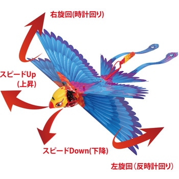 Go Go Bird ゴーゴーバード avail(アベル)