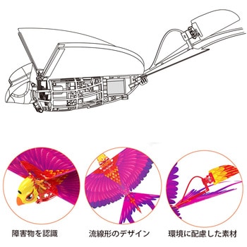Go Go Bird ゴーゴーバード avail(アベル)