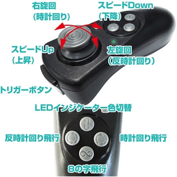 Go Go Bird ゴーゴーバード avail(アベル)