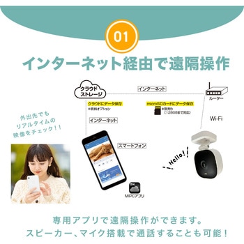 屋内外対応 防犯・見守りネットワークカメラ Newseed