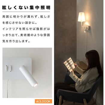 wasser89 ウォールランプ 大河商事