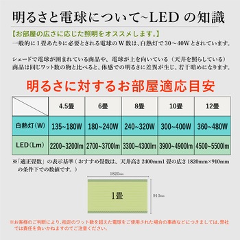 aircorno40 シーリングライト 大河商事