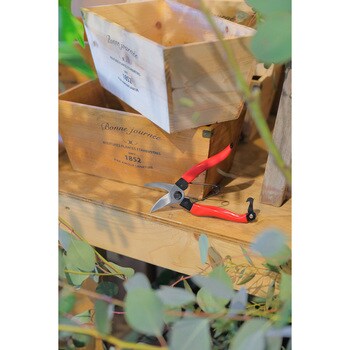 SFF×TKG 剪定用おてつだい鋏 赤グリップ 高儀
