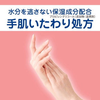 キレイキレイ薬用手指の消毒ジェルプラス LION(ライオン)