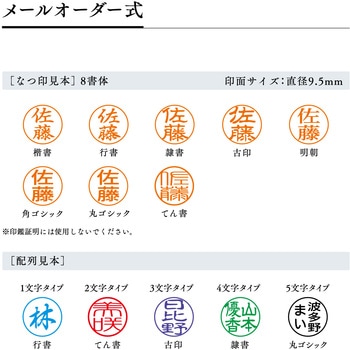 ネーム9  創業100周年記念カラー メールオーダー式 シヤチハタ