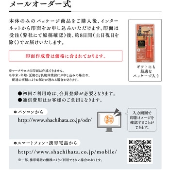 ネーム9  創業100周年記念カラー メールオーダー式 シヤチハタ