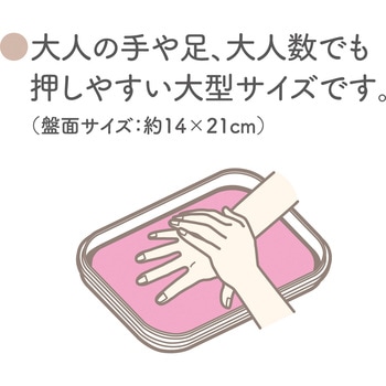 パームカラーズBIG シヤチハタ