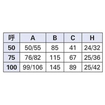 ステンレスツバヒロ掃除口 カクダイ
