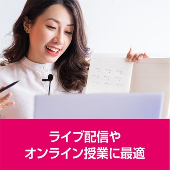 USBピンマイク MCO