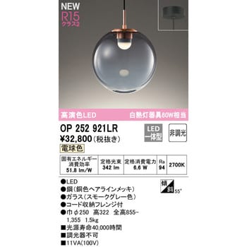 OP252921LR ペンダントライト 1台 オーデリック(ODELIC) 【通販サイト