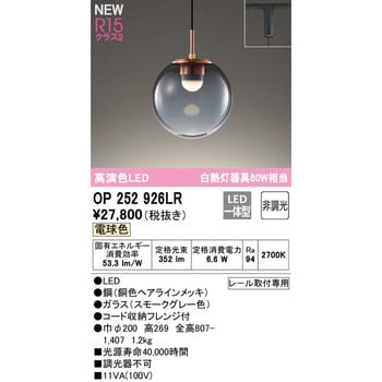 OP252926LR ペンダントライト 1台 オーデリック(ODELIC) 【通販サイト