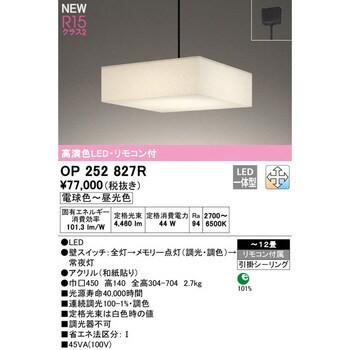 OP252827R ペンダントライト 1台 オーデリック(ODELIC) 【通販サイト