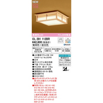 シーリングライト ODELIC(オーデリック)
