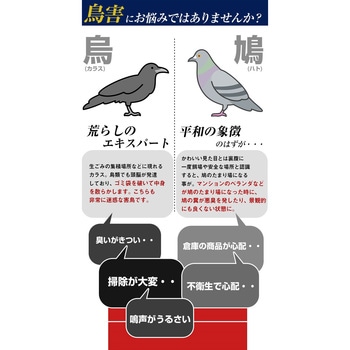トリクリーン(カラス&鳩用忌避剤 泡タイプ) プロテクト
