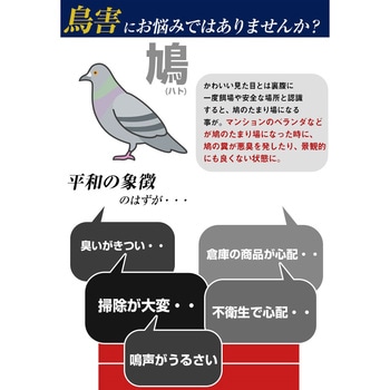 ハトクリーン(鳩用忌避剤 泡タイプ) プロテクト