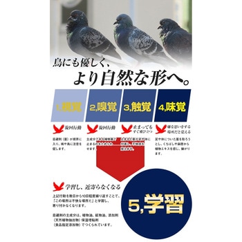 ハトクリーン(鳩用忌避剤 泡タイプ) プロテクト