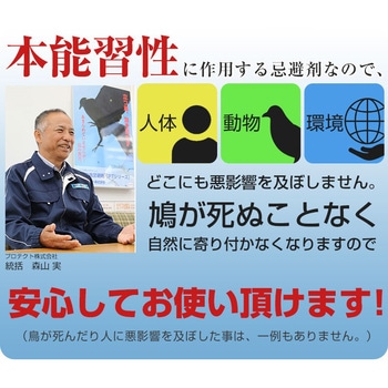ハトクリーン(鳩用忌避剤 泡タイプ) プロテクト