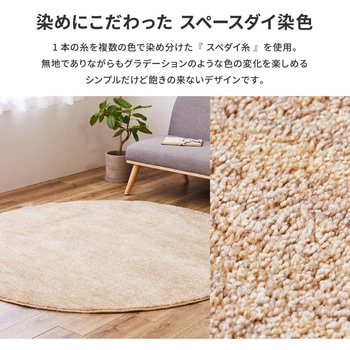 機能的なナイロンラグ ビビ 萩原