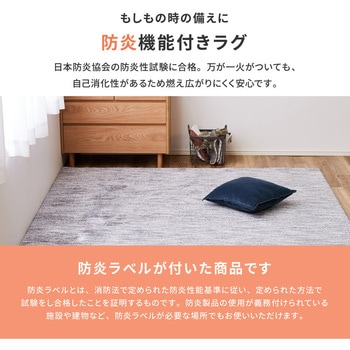 機能的なナイロンラグ ビビ 萩原