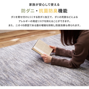 機能的なナイロンラグ ビビ 萩原