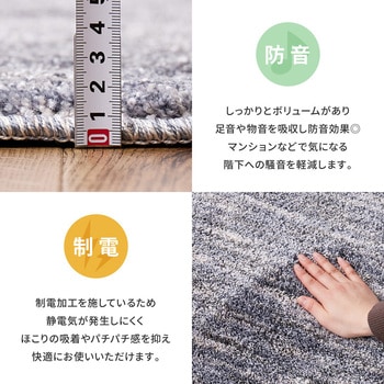 機能的なナイロンラグ ビビ 萩原