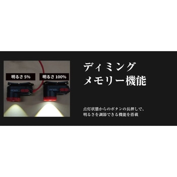 ZEXUS(ゼクサス) ヘッドライト プロフェッショナルモデル ZEXUS(ゼクサス)