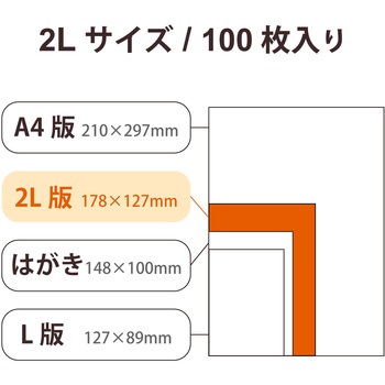 プリンター用紙 写真用紙 2L判 100枚 光沢 薄手 インクジェット 写真プリント エレコム