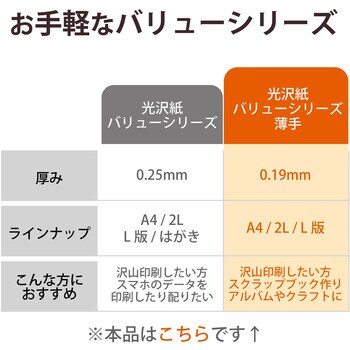 EJK-TVL2L100 プリンター用紙 写真用紙 2L判 100枚 光沢 薄手