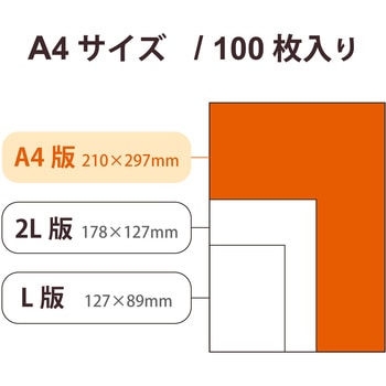 プリンター用紙 写真用紙 A4 光沢 薄手 インクジェット 写真プリント - エレコム