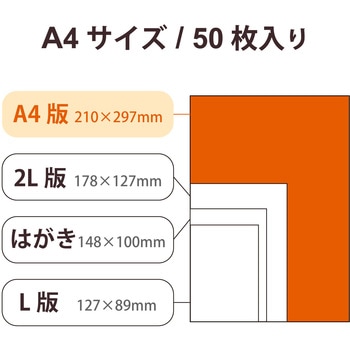 プリンター用紙 写真用紙 A4 光沢 厚手 インクジェット 写真プリント エレコム