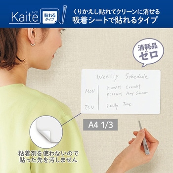 カイテ Kaite 貼れるタイプ プラス(文具)