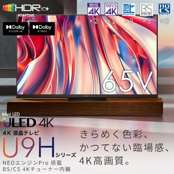 65U9H 4K液晶テレビ (地上・BS・110度CS) 外付けHDD裏番組録画 65U9H 4K液晶テレビ (地上・BS・110度CS) 外付けHDD裏番組録画