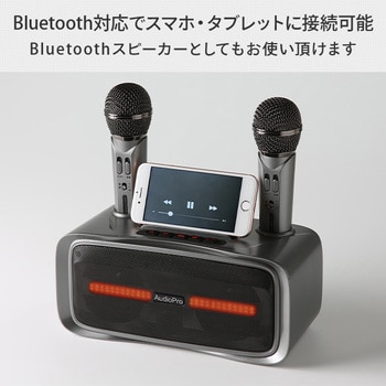 ST-2028 ワイヤレスマイクスピーカー マイク2本付き とうしょう 1台 ST-2028 - 【通販モノタロウ】