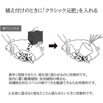 クラシック元肥 タクト