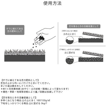 セレクション芝生 タクト