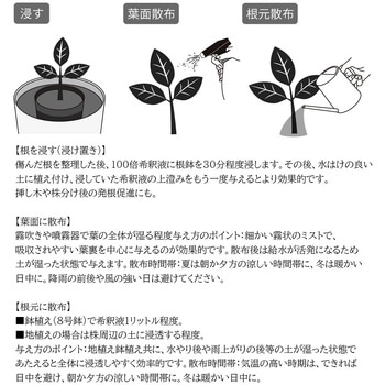 バイオゴールドバイタル タクト
