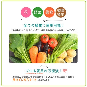 ハイポニカ植物活力液 おもいやり5倍濃縮液 KYOWA(協和製作所)