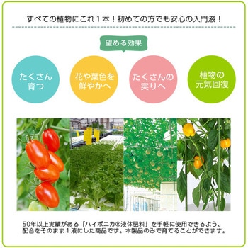 ハイポニカ植物活力液 おもいやり5倍濃縮液 KYOWA(協和製作所)