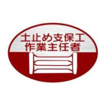 ヘルメット用ステッカー JSグループ