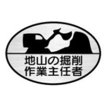 ヘルメット用ステッカー JSグループ