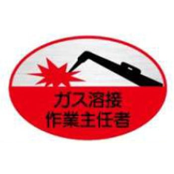 ヘルメット用ステッカー JSグループ
