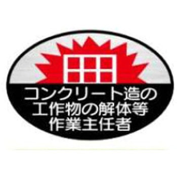 ヘルメット用ステッカー JSグループ